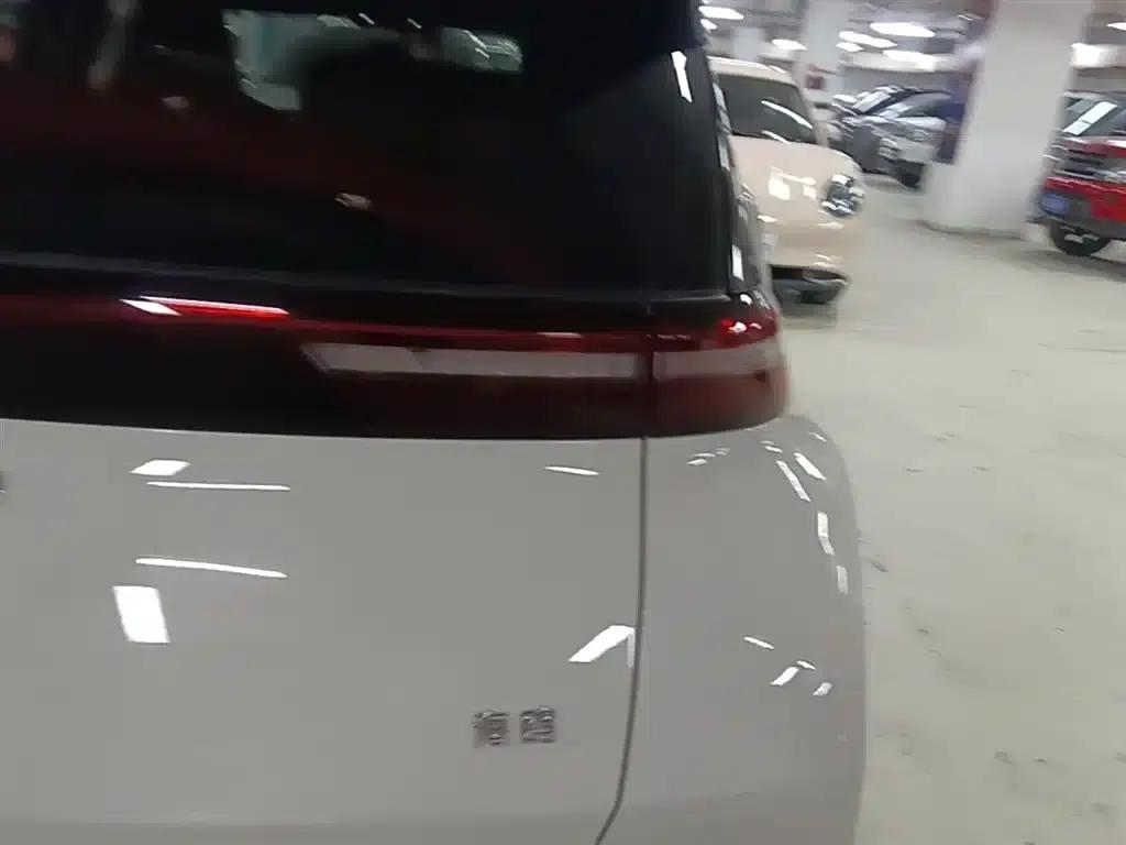 Seagull 2025 305km Freedom Edition — миниатюра 8