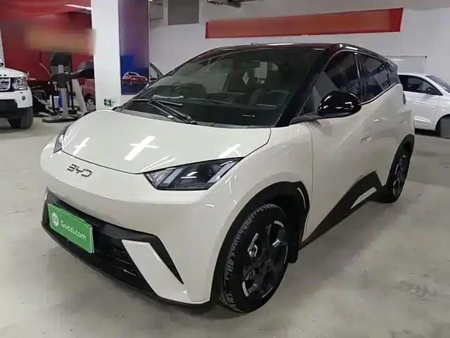 Seagull 2025 305km Freedom Edition