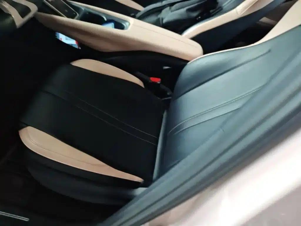 Seagull 2025 305km/h Dynamic Edition — миниатюра 15