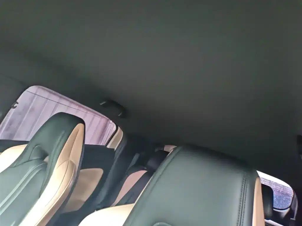 Seagull 2025 305km/h Dynamic Edition — миниатюра 18