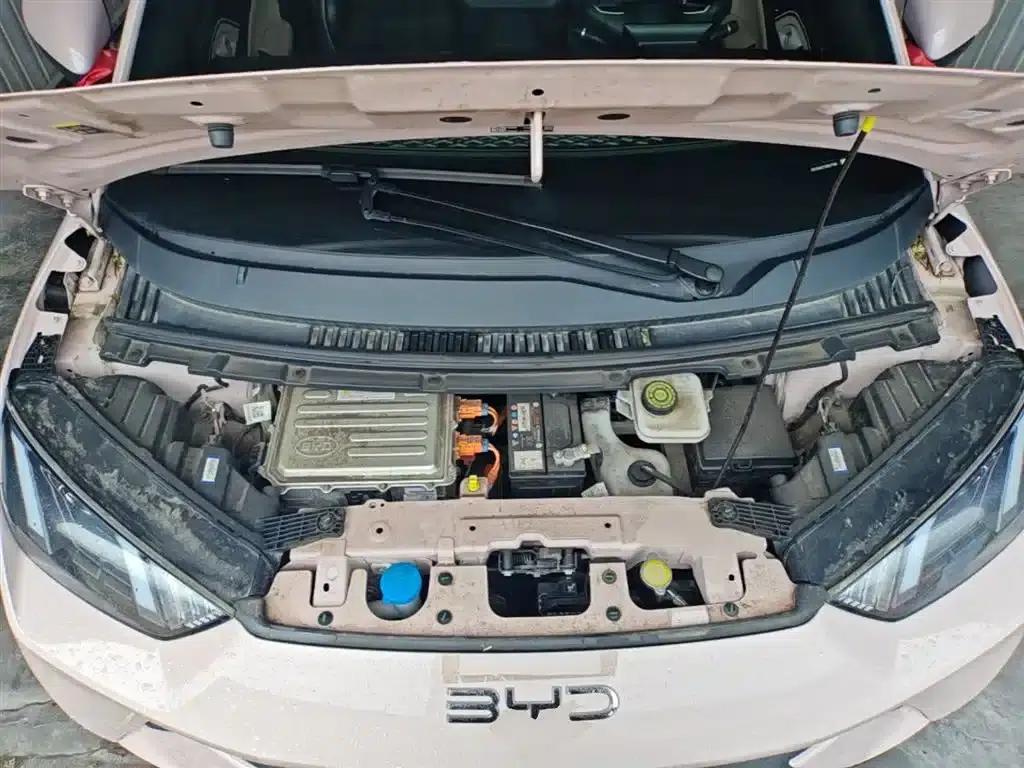 Seagull 2025 305km/h Dynamic Edition — миниатюра 20