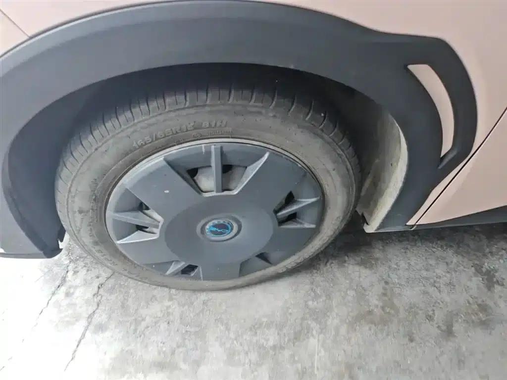 Seagull 2025 305km/h Dynamic Edition — миниатюра 23