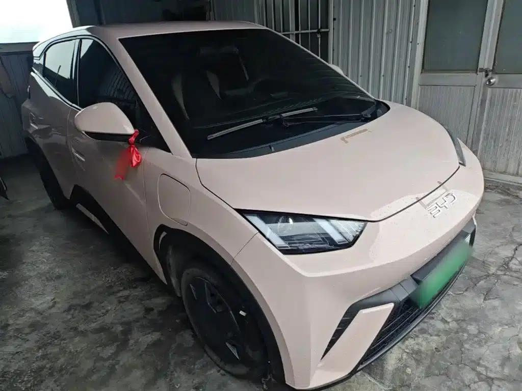 Seagull 2025 305km/h Dynamic Edition — миниатюра 4