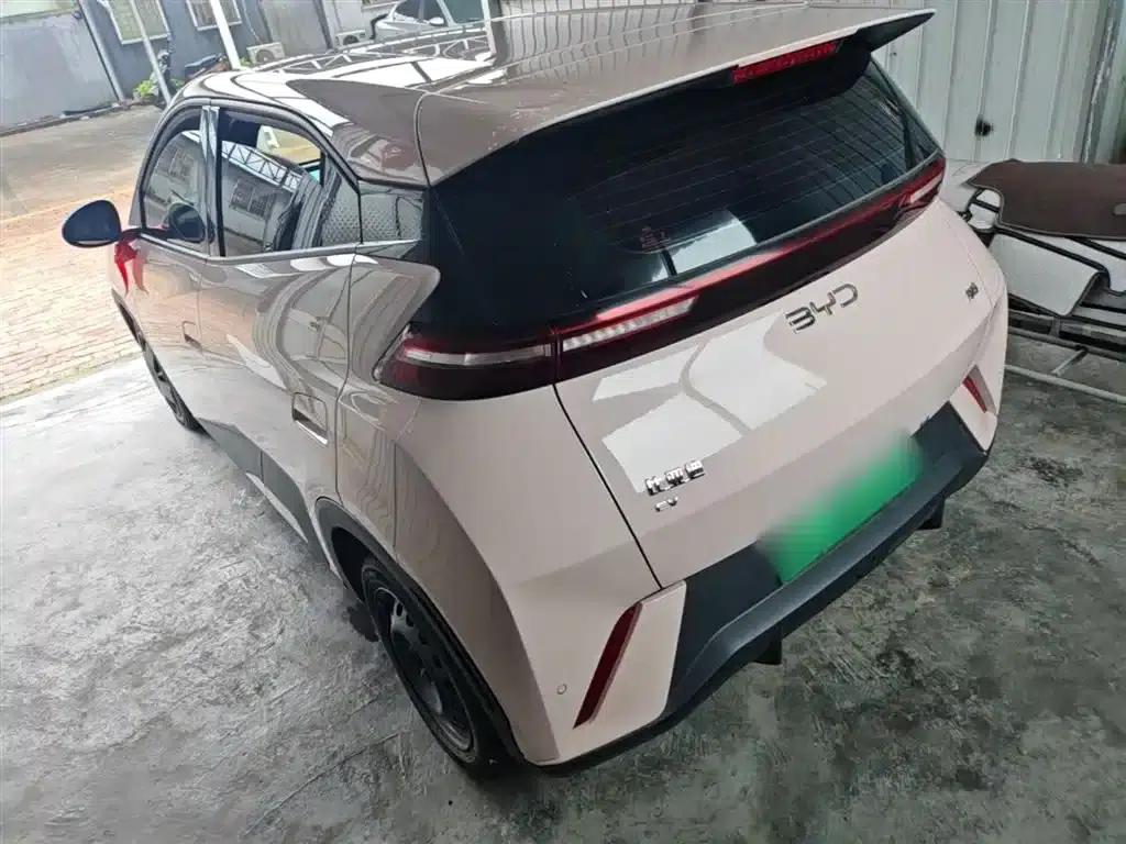Seagull 2025 305km/h Dynamic Edition — миниатюра 5