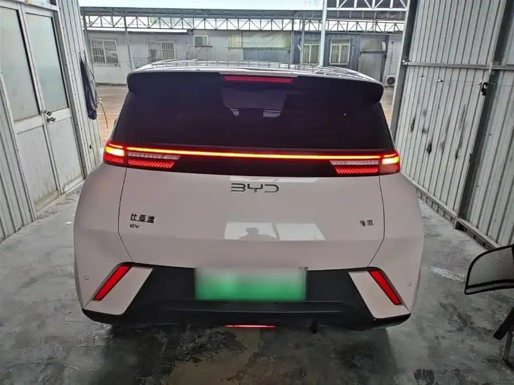 Seagull 2025 305km/h Dynamic Edition — миниатюра 6