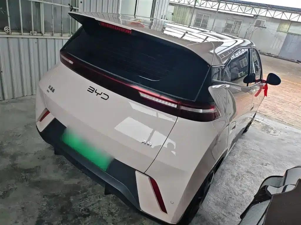 Seagull 2025 305km/h Dynamic Edition — миниатюра 7