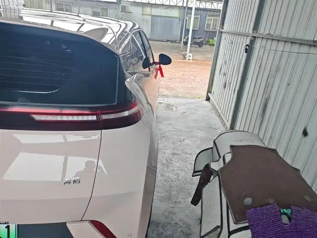 Seagull 2025 305km/h Dynamic Edition — миниатюра 8