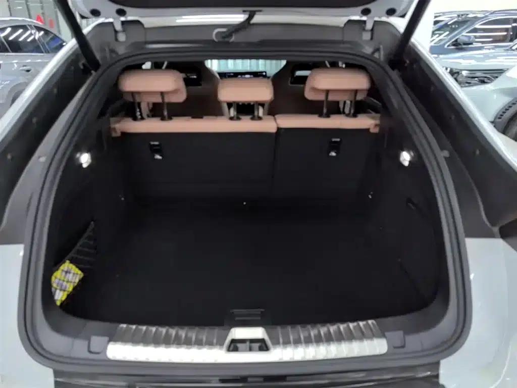 Song L EV 2024 550km Excellent Edition — миниатюра 19