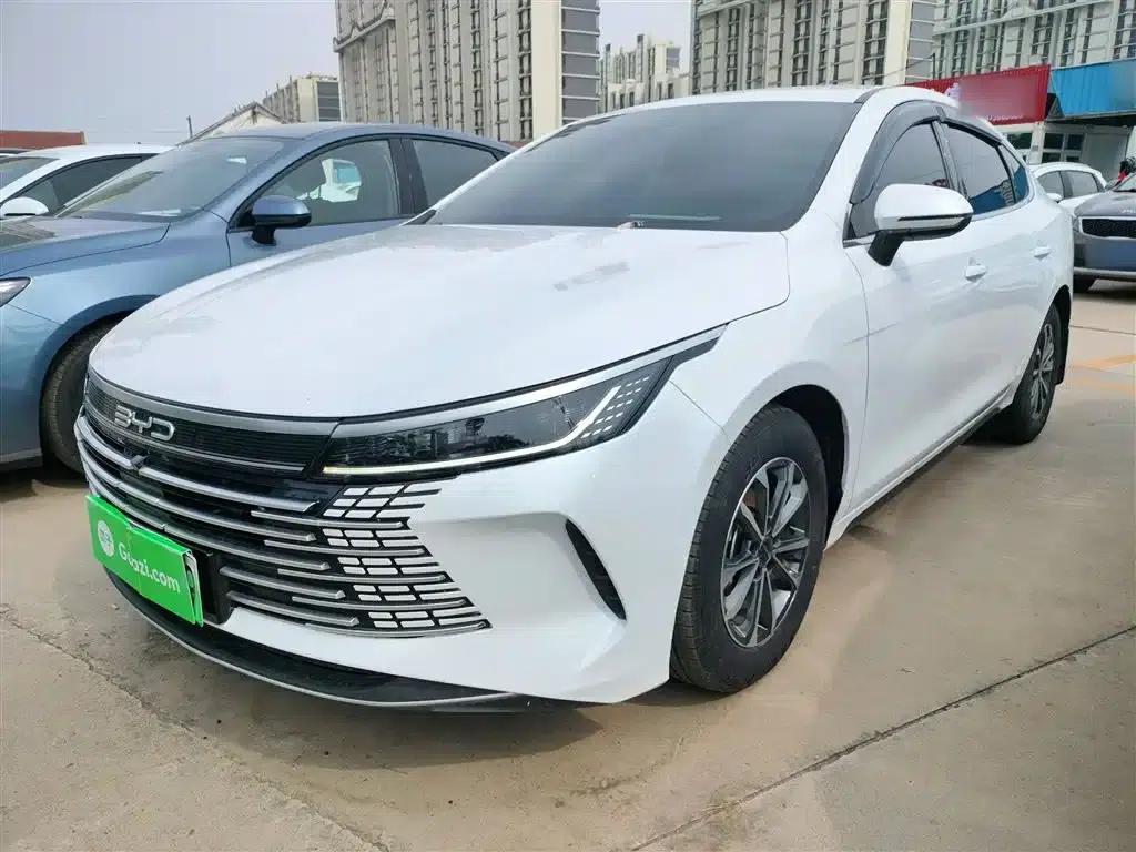 Destroyer 05 2024 Glory Edition DM-i 55KM Luxury Model — миниатюра 2