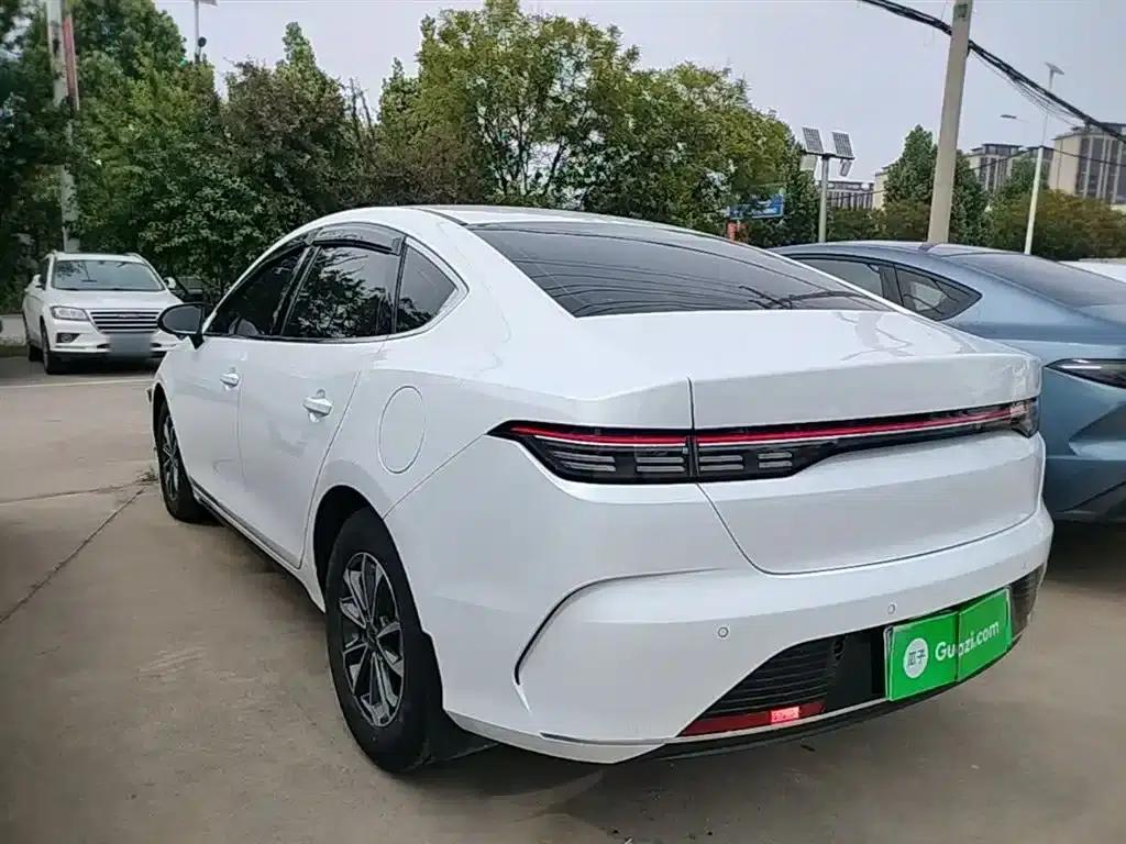 Destroyer 05 2024 Glory Edition DM-i 55KM Luxury Model — миниатюра 5