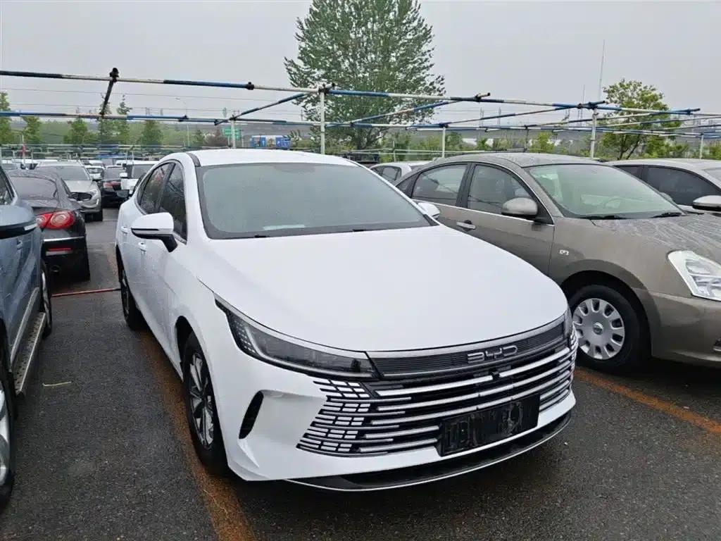Destroyer 05 2024 Glory Edition DM-i 55KM Luxury Model — миниатюра 4