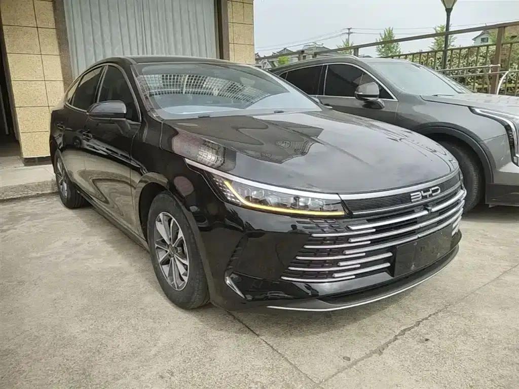 Destroyer 05 2024 Glory Edition DM-i 55KM Luxury Model — миниатюра 4