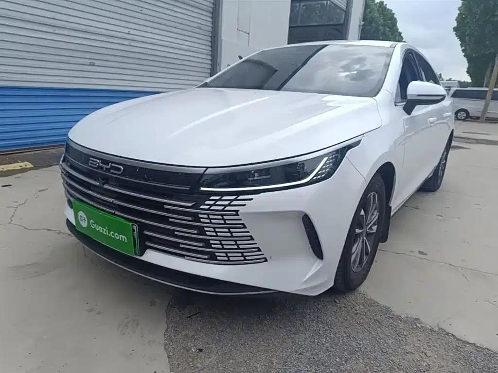 Destroyer 05 2023 Champion Edition DM-i 55KM Luxury — миниатюра 1