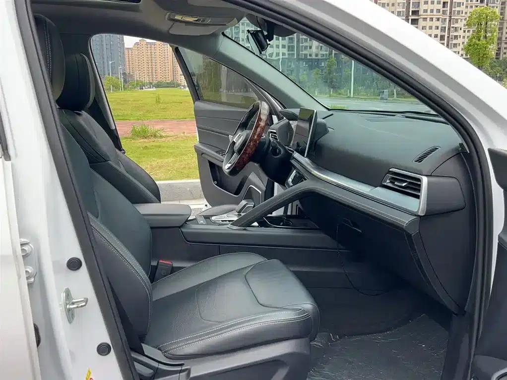 Song Pro 2019 1.5T Automatic Luxury Edition — миниатюра 6