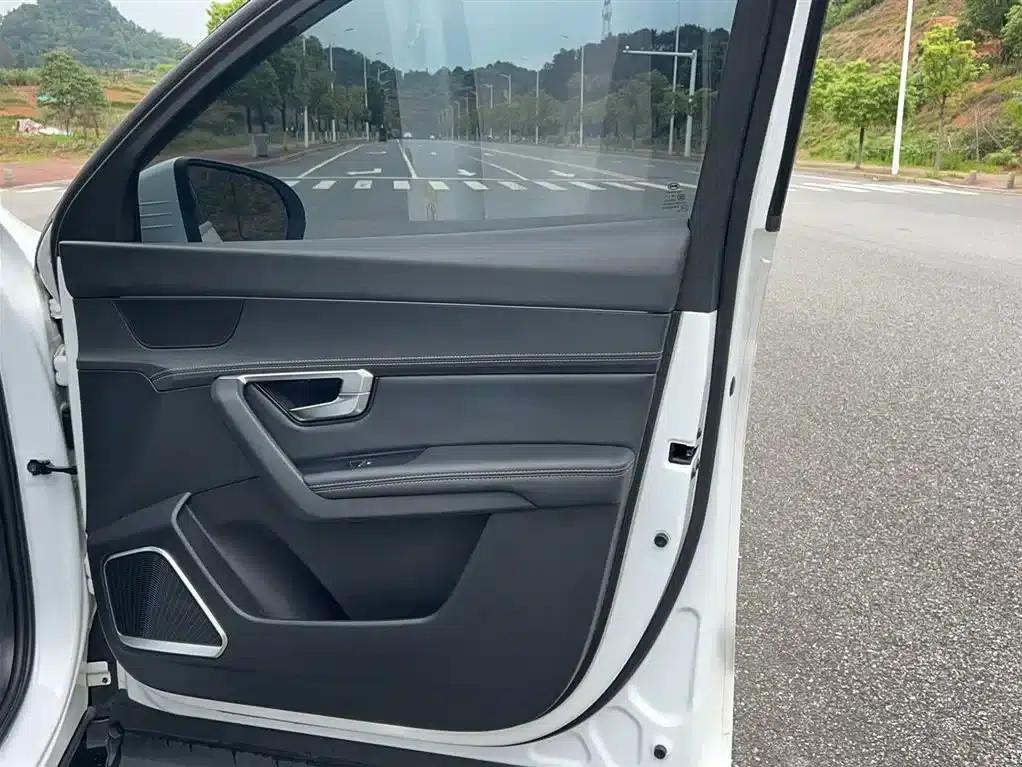 Song Pro 2019 1.5T Automatic Luxury Edition — миниатюра 10