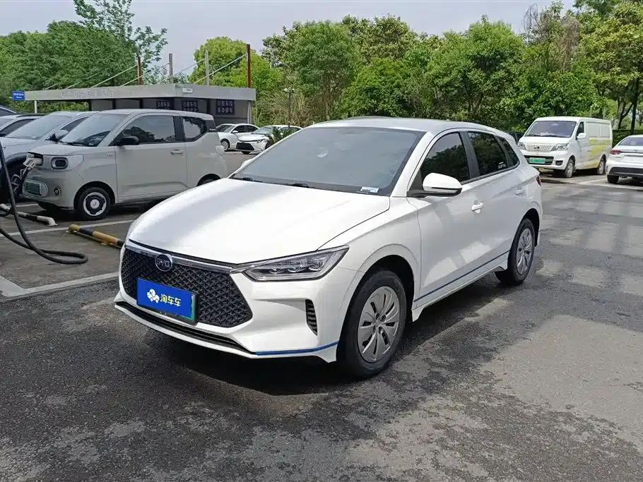 BYD e2 2020 Upgraded Standard Range Standard Model — миниатюра 1