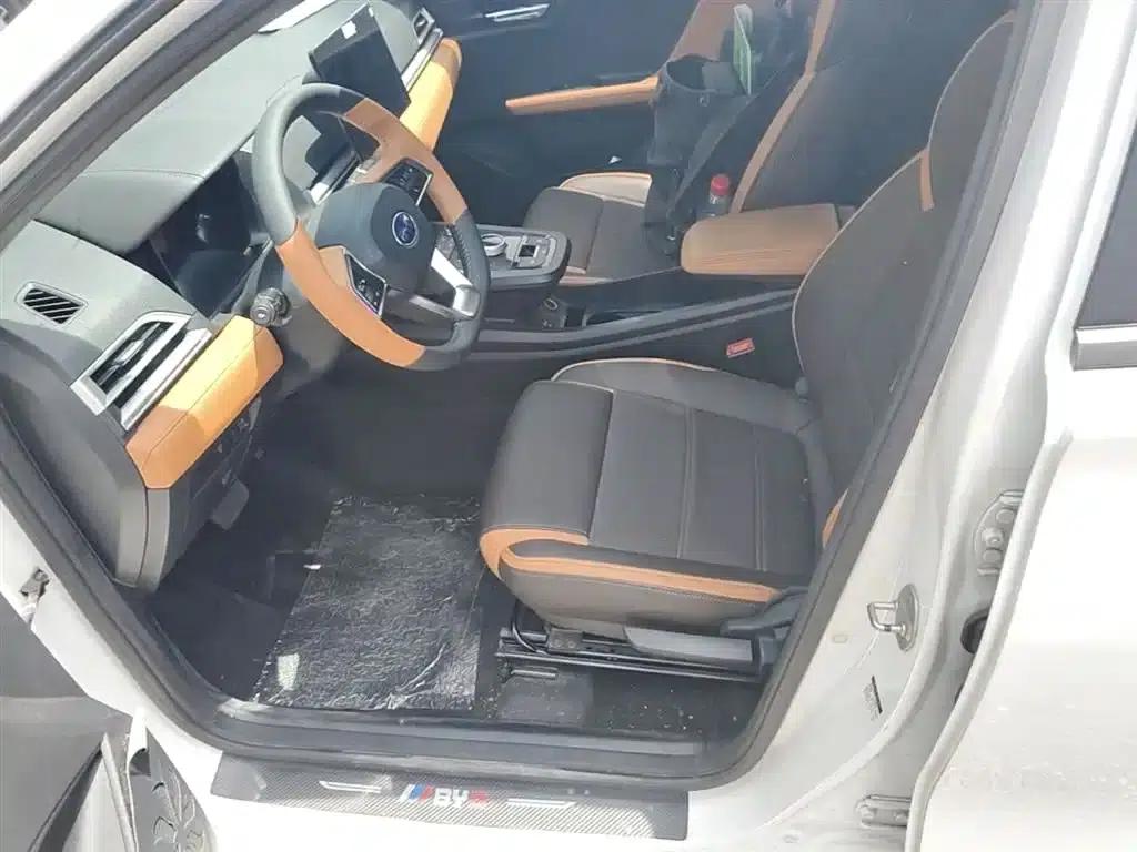BYD e2 2020 Upgraded Long-Range Luxury Edition — миниатюра 15