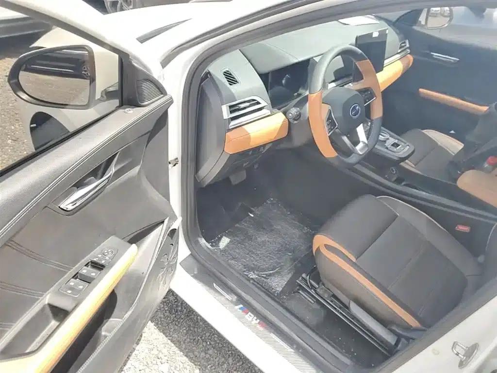 BYD e2 2020 Upgraded Long-Range Luxury Edition — миниатюра 16
