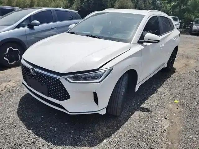 BYD e2 2020 Upgraded Long-Range Luxury Edition