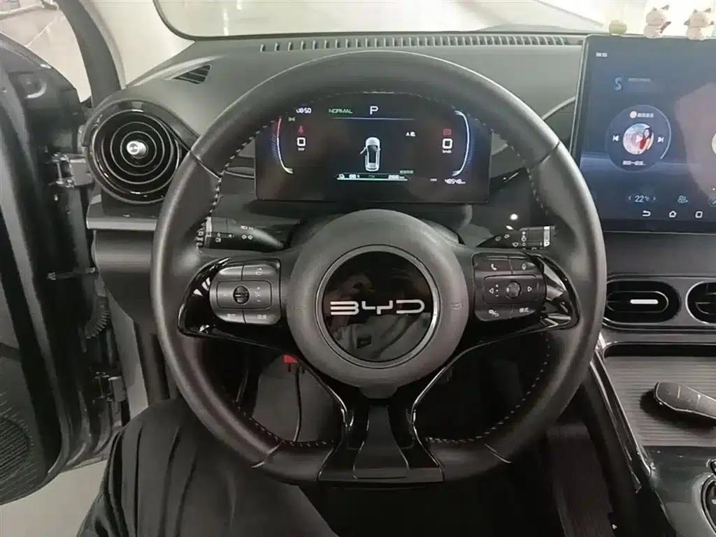 BYD e2 2023 Luxury Edition — миниатюра 11