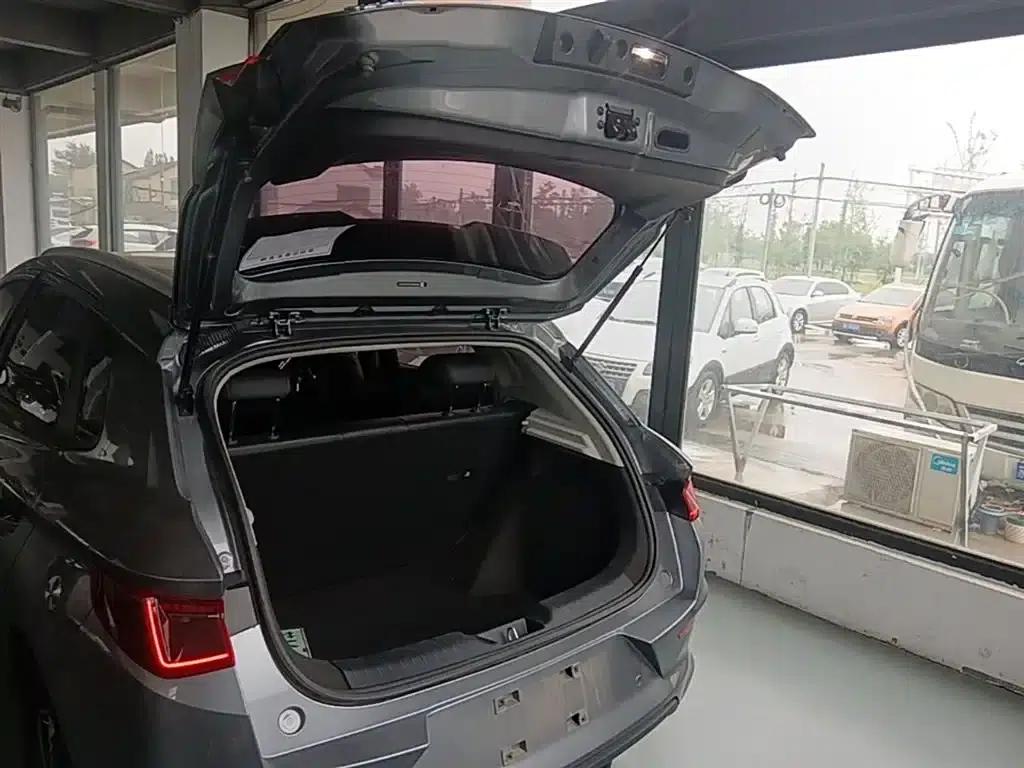 BYD e2 2023 Luxury Edition — миниатюра 19
