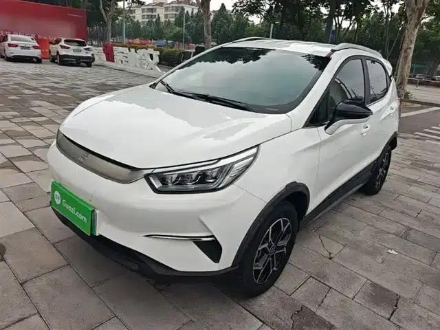 Yuan Pro 2021 Model: Love Forever Edition
