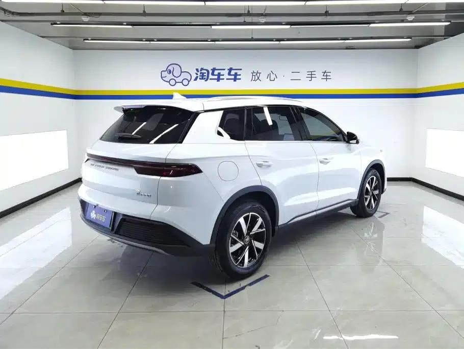 Song Pro New Energy 2024 Glory Edition DM-i 110KM Superior Model — миниатюра 3
