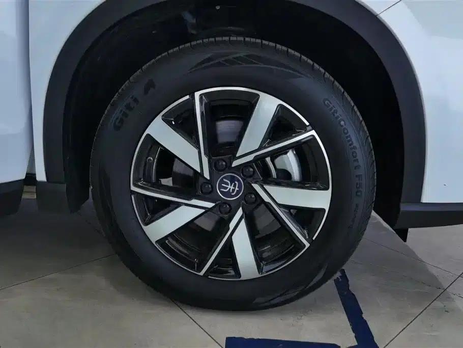Song Pro New Energy 2024 Glory Edition DM-i 110KM Superior Model — миниатюра 6