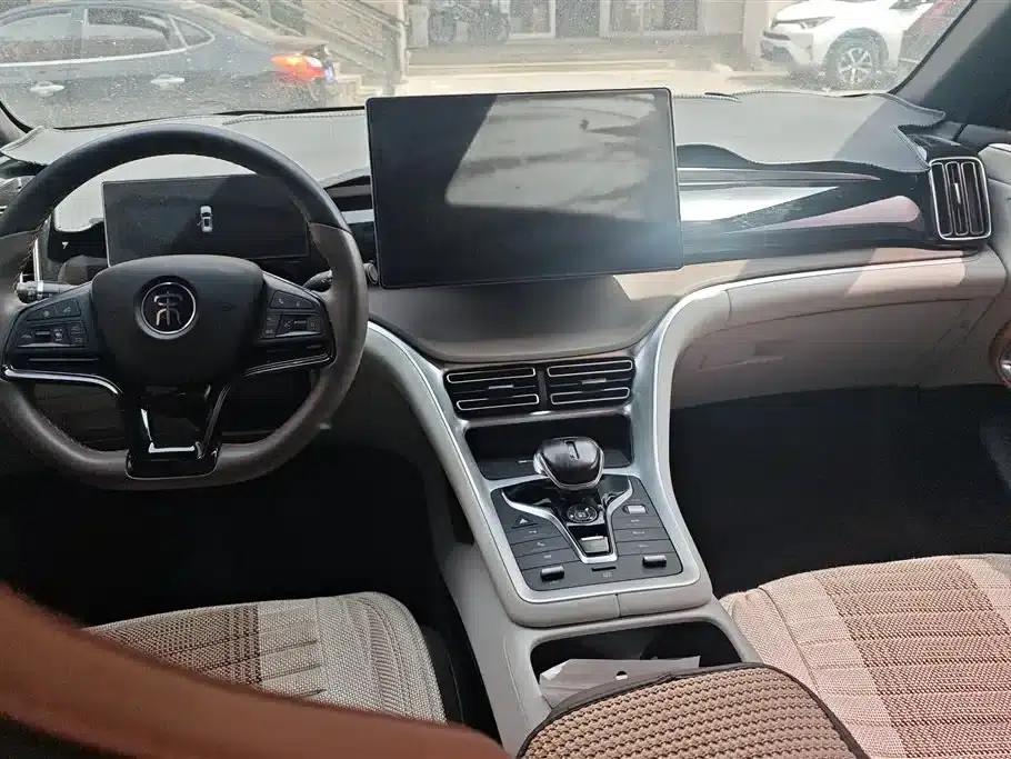Song Pro New Energy 2023 Champion Edition DM-i 110KM Excellent Model — миниатюра 12
