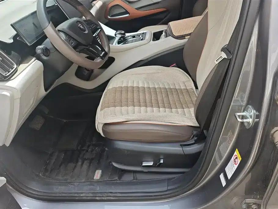 Song Pro New Energy 2023 Champion Edition DM-i 110KM Excellent Model — миниатюра 9