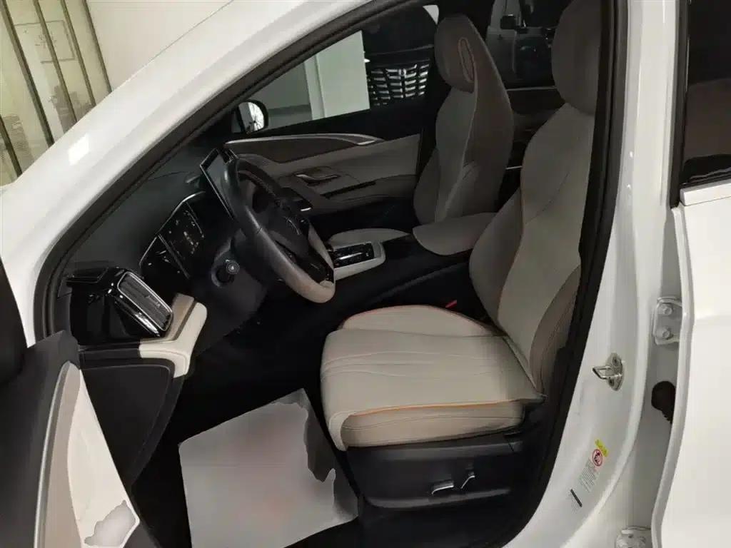 Song Pro New Energy 2023 Champion Edition DM-i 71KM Leading Model — миниатюра 15