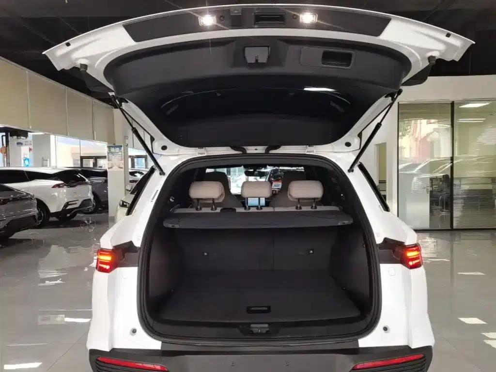 Song Pro New Energy 2023 Champion Edition DM-i 71KM Leading Model — миниатюра 19