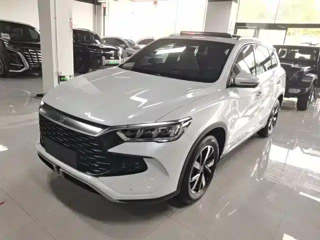 Song Pro New Energy 2023 Champion Edition DM-i 71KM Leading Model