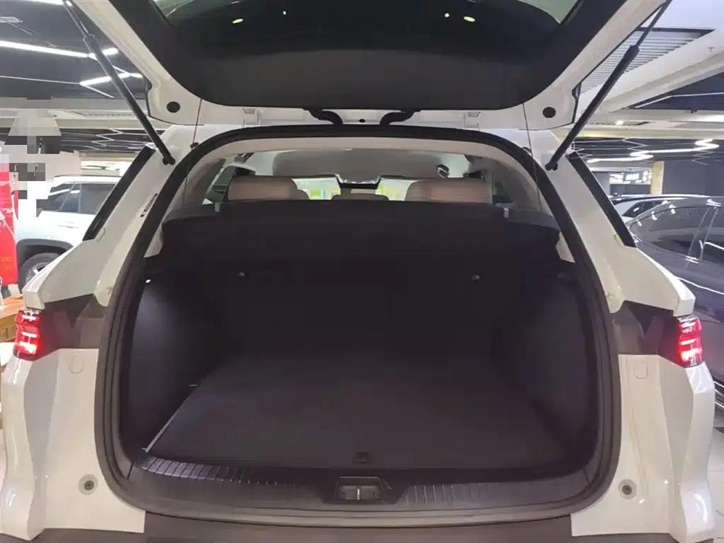 Song Pro New Energy 2025 Model, Second Generation DM-i 75KM Leading Edition — миниатюра 19