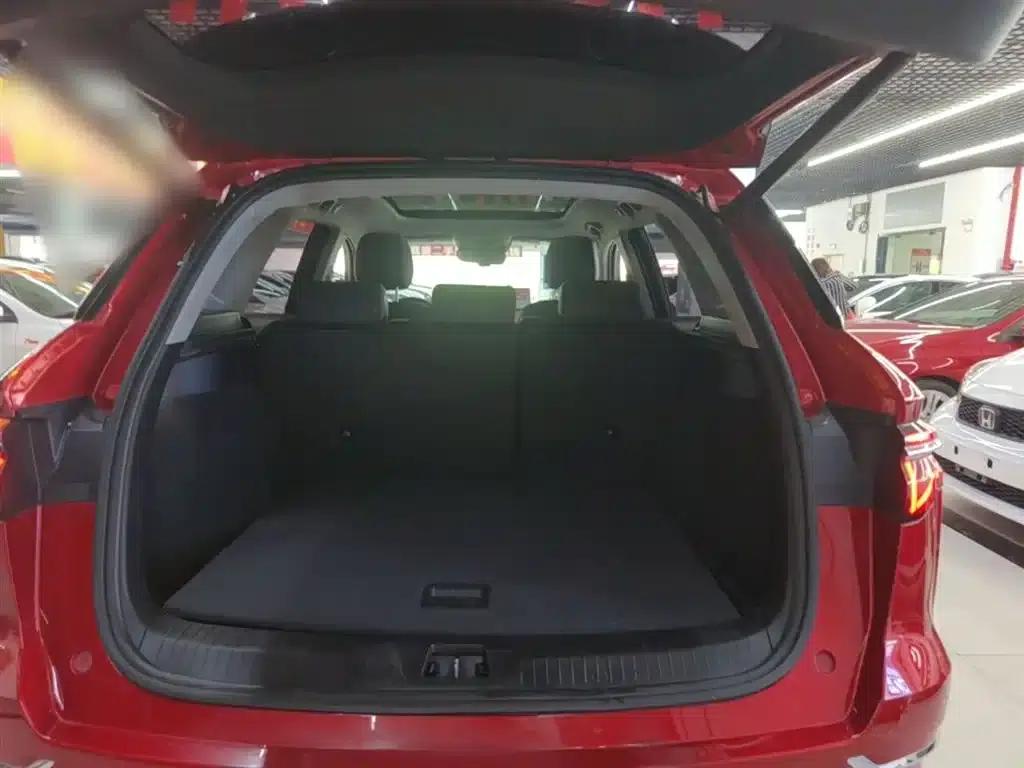 Song Pro New Energy 2019 DM 1.5T AWD Performance Flagship Edition — миниатюра 19