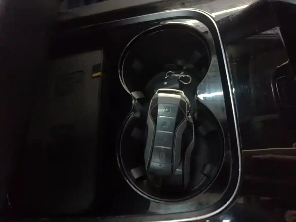 Song Pro New Energy 2019 DM 1.5T AWD Performance Flagship Edition — миниатюра 9