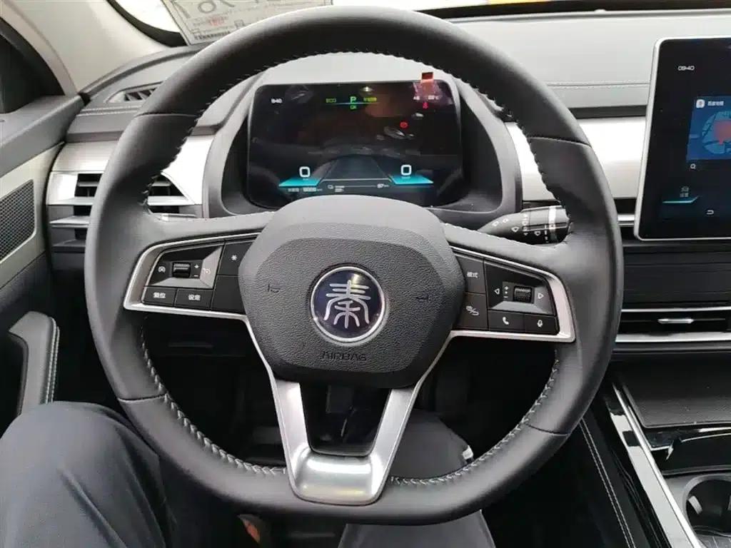 Qin Pro New Energy 2019 EV Super Edition Standard Intelligent Leading Model — миниатюра 11