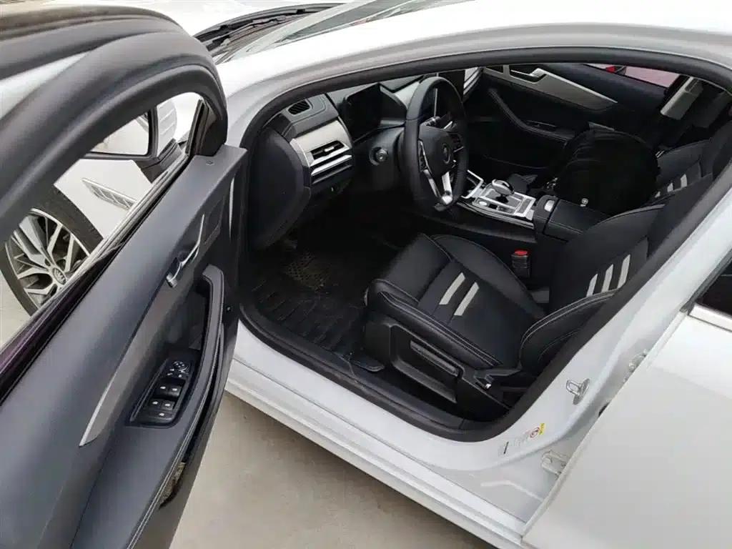Qin Pro New Energy 2019 EV Super Edition Standard Intelligent Leading Model — миниатюра 16
