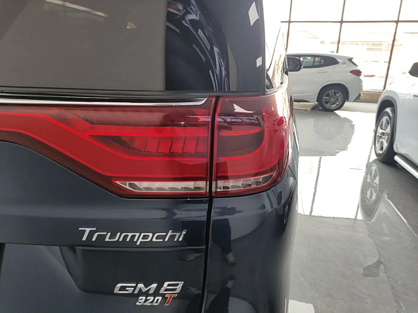 GAC Trumpchi M8 2018 320T Luxury Edition — миниатюра 7