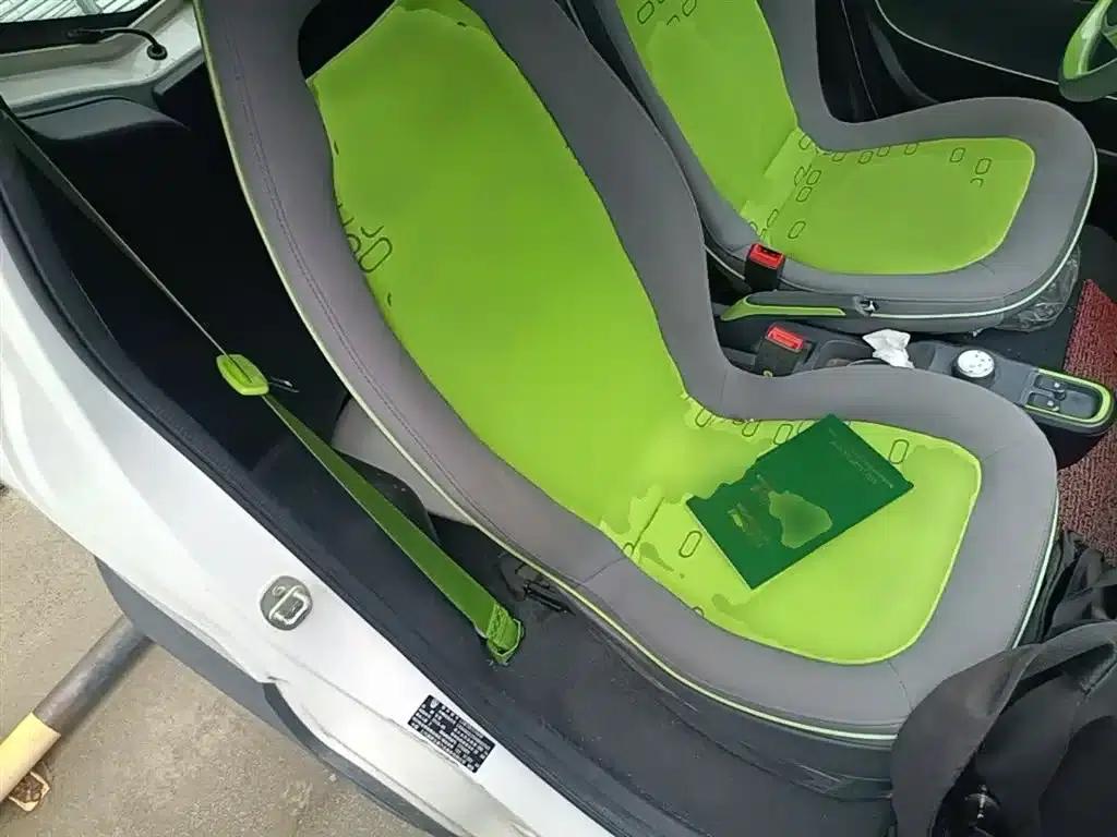 Baojun E100 2019 Model 250KM Smart Edition — миниатюра 25