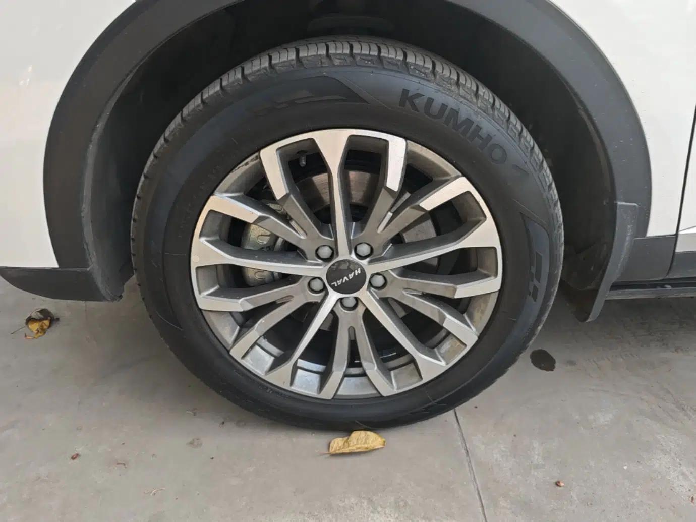 Haval H6 2020 1.5 GDIT Automatic Platinum Champion Edition — миниатюра 8