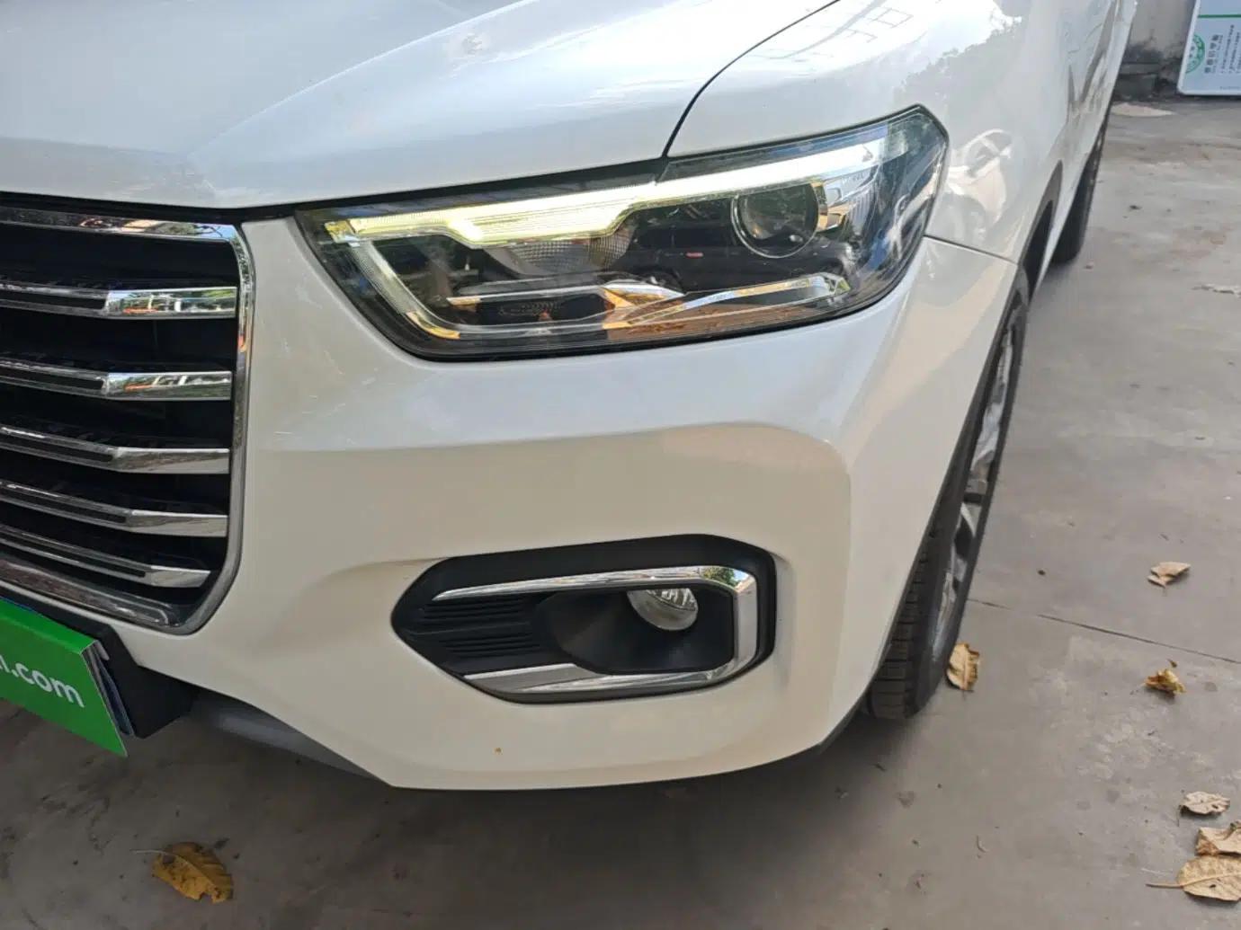 Haval H6 2020 1.5 GDIT Automatic Platinum Champion Edition — миниатюра 9