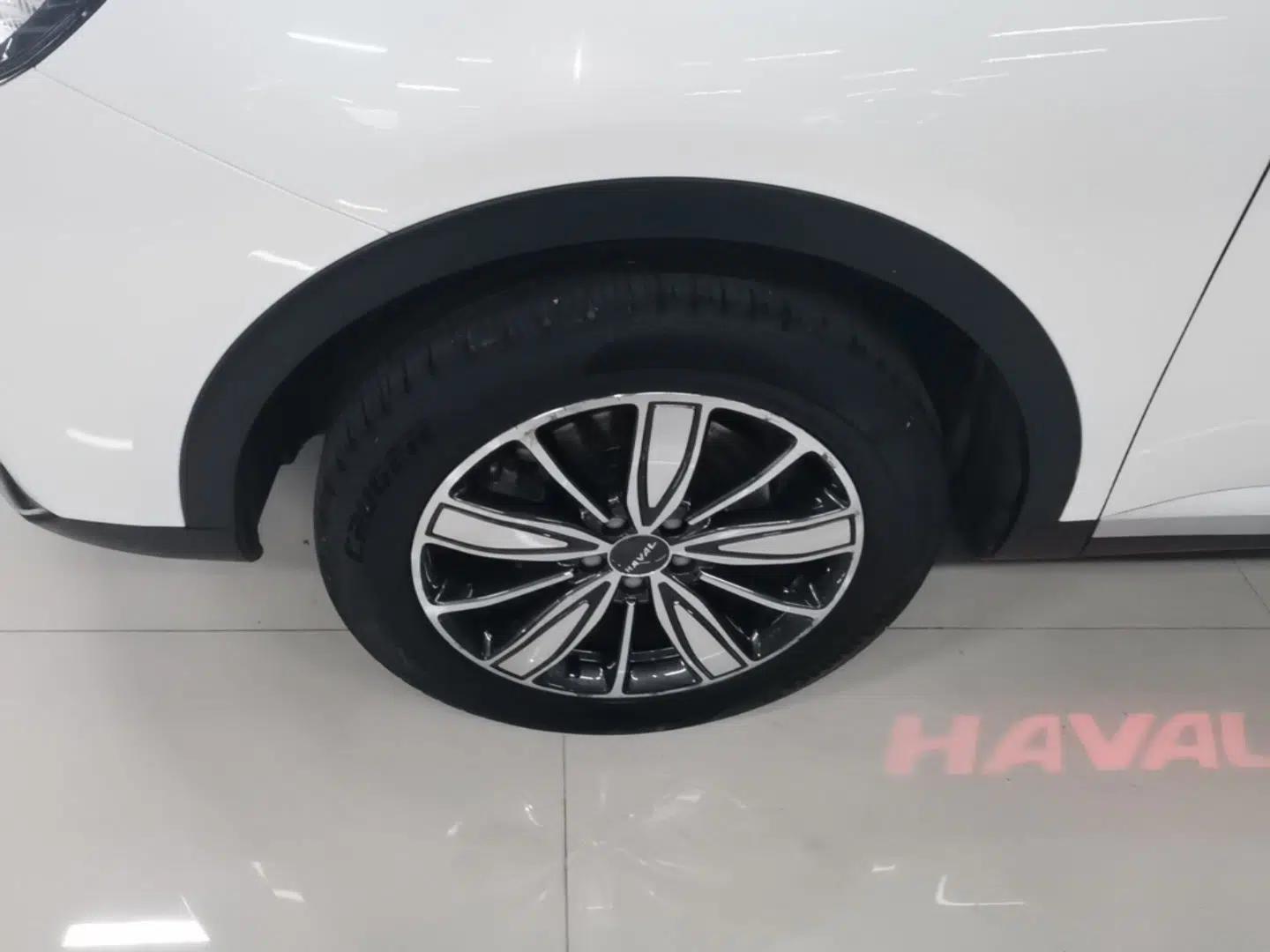 Haval H6 2021 1.5 GDIT Automatic Champion Edition — миниатюра 8