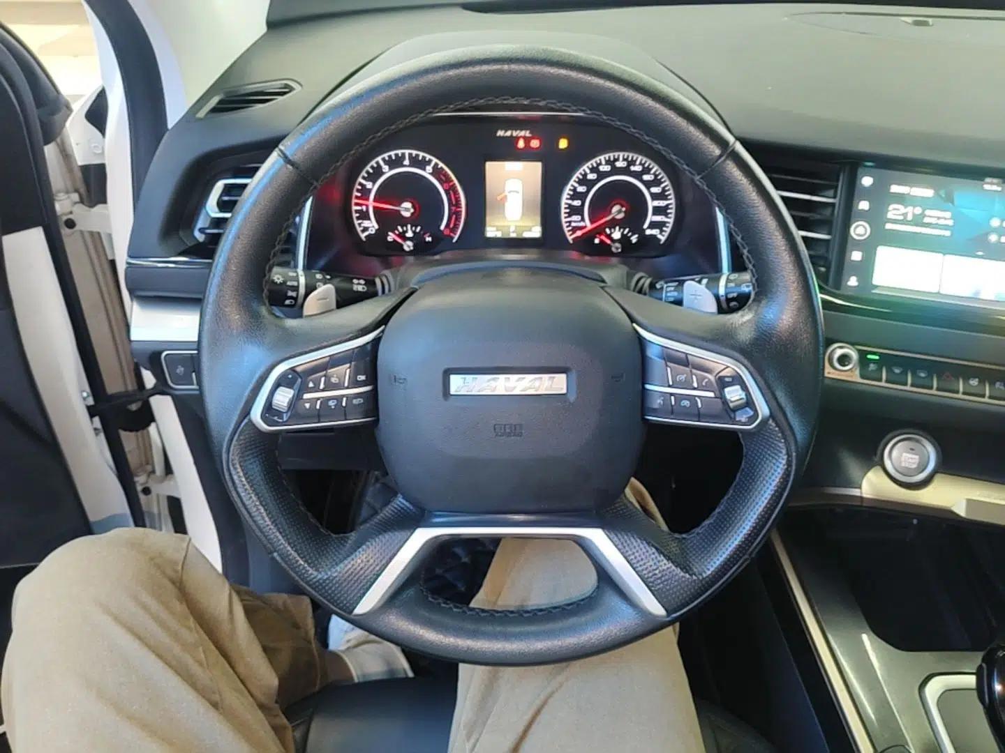 Haval H6 2021 1.5 GDIT Automatic Champion Edition — миниатюра 14