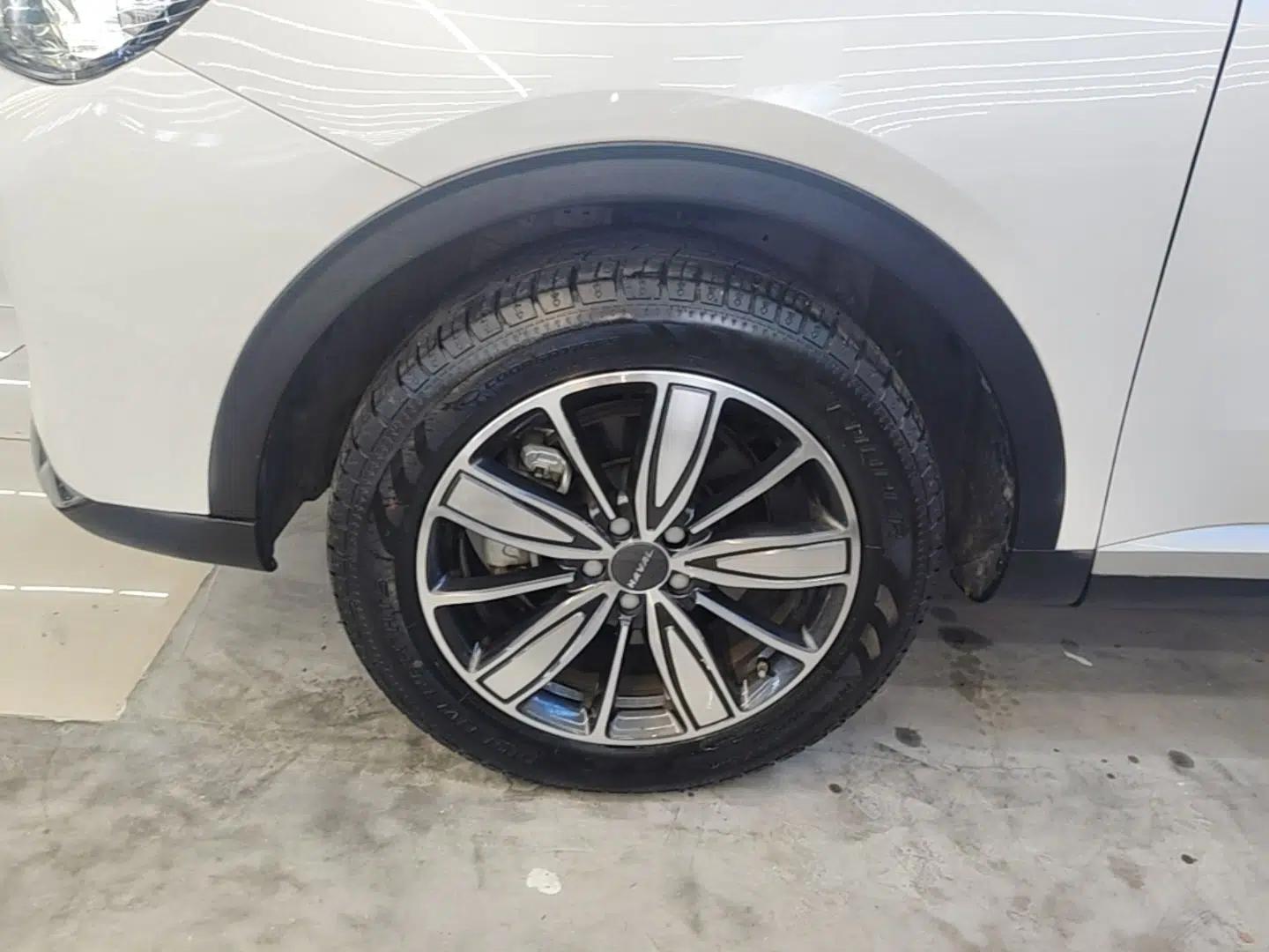 Haval H6 2021 1.5 GDIT Automatic Champion Edition — миниатюра 8