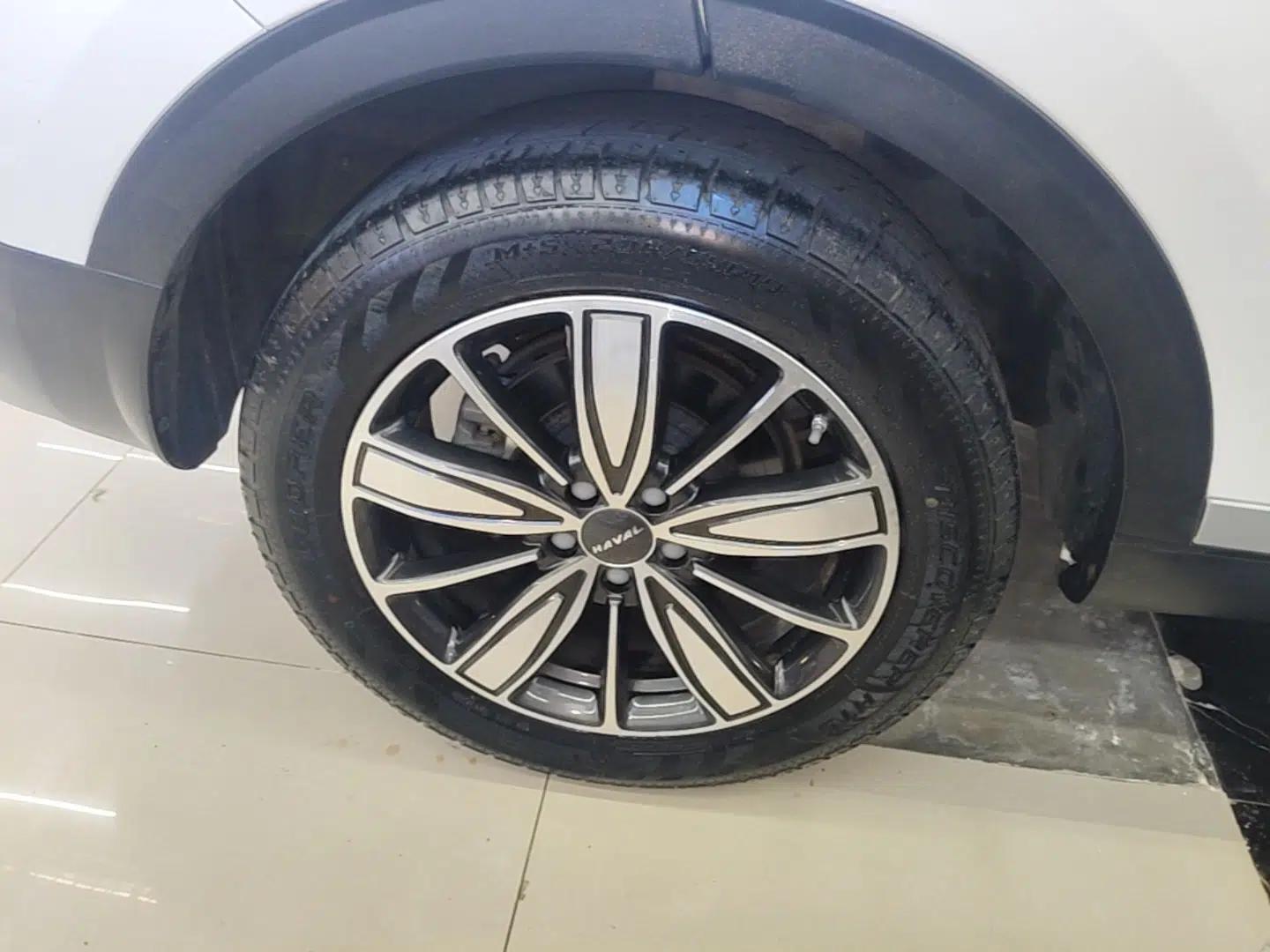 Haval H6 2021 1.5 GDIT Automatic Champion Edition — миниатюра 10