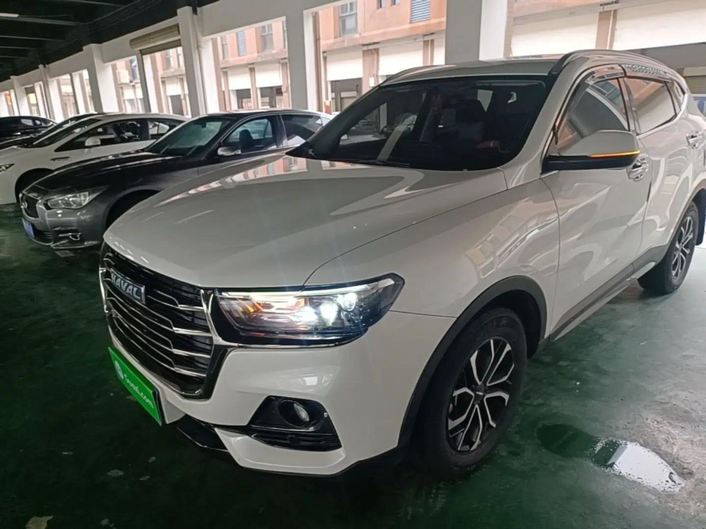 Haval H6 2021 National Trend Edition 1.5T Automatic Urban Version — миниатюра 1
