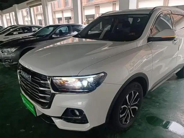Haval H6 2021 National Trend Edition 1.5T Automatic Urban Version