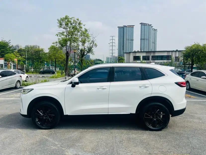 Haval H6 2021 3rd Generation 2.0T Automatic All-Wheel Drive Max — миниатюра 6
