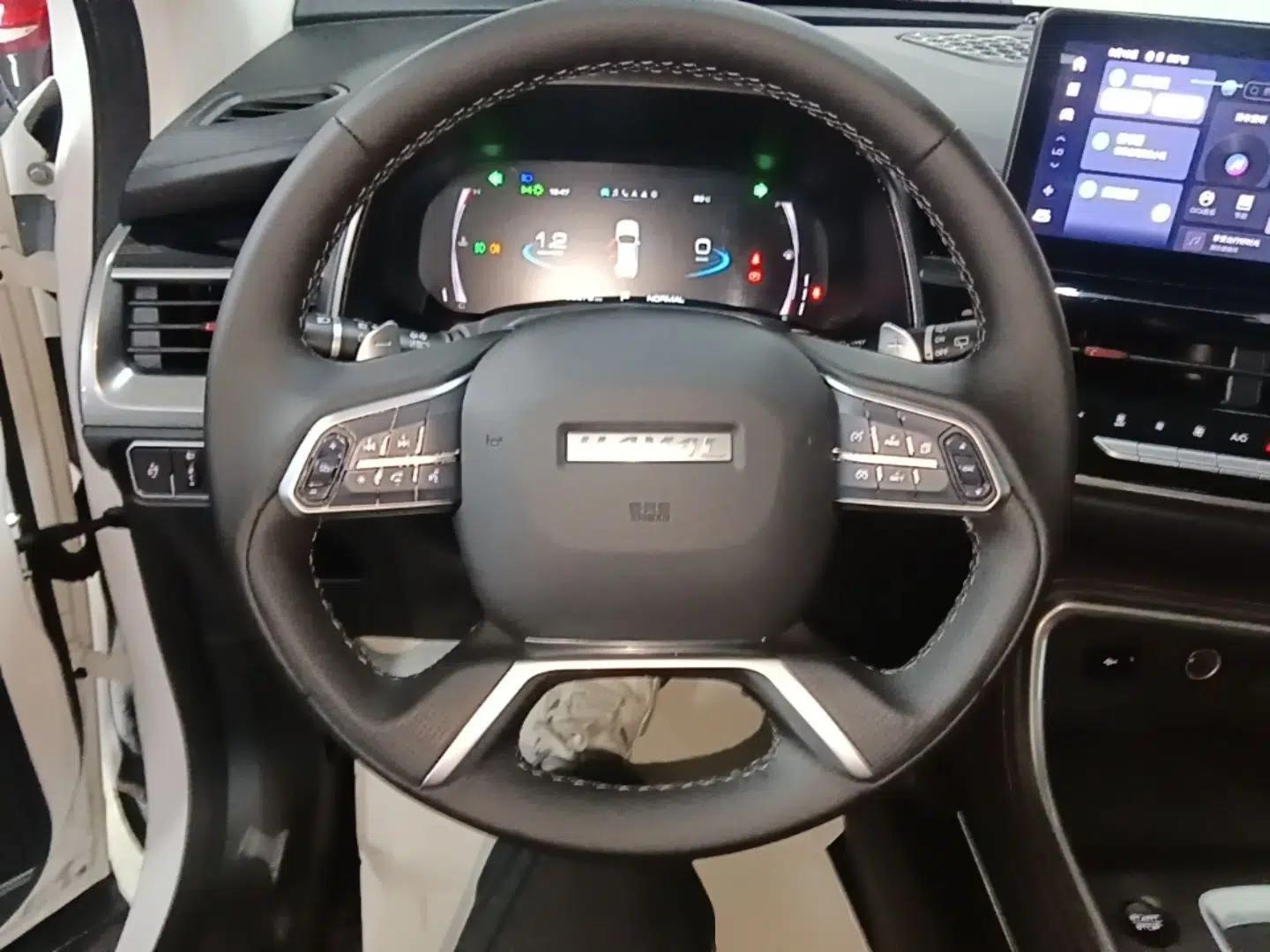 Haval H6 2021 China Trend Edition 1.5 GDIT Automatic Champion Version — миниатюра 13